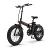 New Pattern Electric Bike Fat Tire With Removable Lithium Battery for Adults - 500W - Black