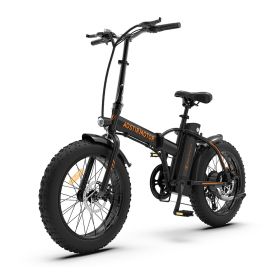 New Pattern Electric Bike Fat Tire With Removable Lithium Battery for Adults - 500W - Black