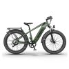 New Pattern Electric Bike Fat Tire With Removable Lithium Battery for Adults - 1000W - Dark Green