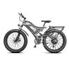 New Pattern Electric Bike Fat Tire With Removable Lithium Battery for Adults - 750W - Black