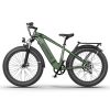 New Pattern Electric Bike Fat Tire With Removable Lithium Battery for Adults - 1000W - Dark Green