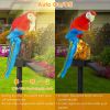 Solar Powered Parrot Garden Light IP65 Waterproof LED Parrot Landscape Lamp Decorative Lawn Lights - Red Parrot