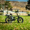 New Pattern Electric Bike Fat Tire With Removable Lithium Battery for Adults - 500W - Black