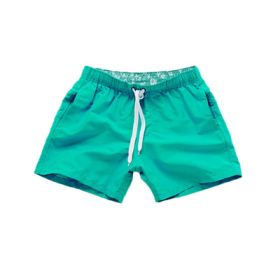 Beach Pants Men's Shorts Summer Surf Pants (Option: Green-S)